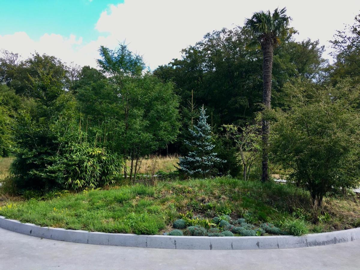 הונדרלו Luxe Chalet Leeuwenhart - Recreation Only מראה חיצוני תמונה
